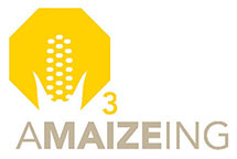 Amaizeing Logo
